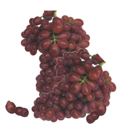 racimos de uva fresa y unas uvas fresas sueltas