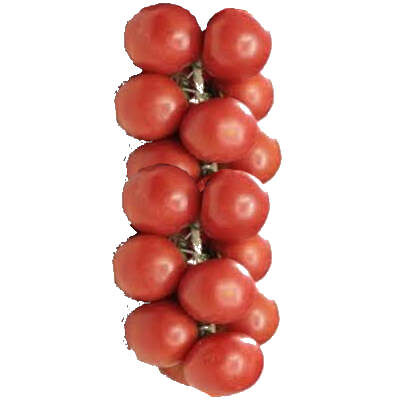 una ristra de tomate para untar