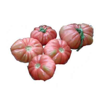 5 tomates muy feos de tudela