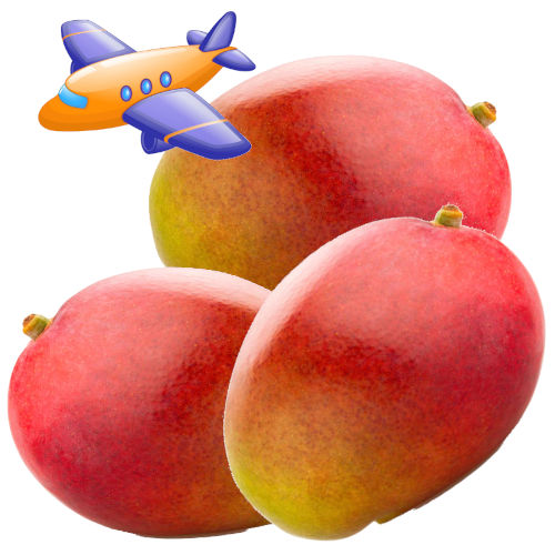 Tres unidades de mango avion kent logo de via aerea