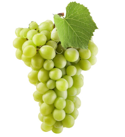racimo de uvas blancas aledo